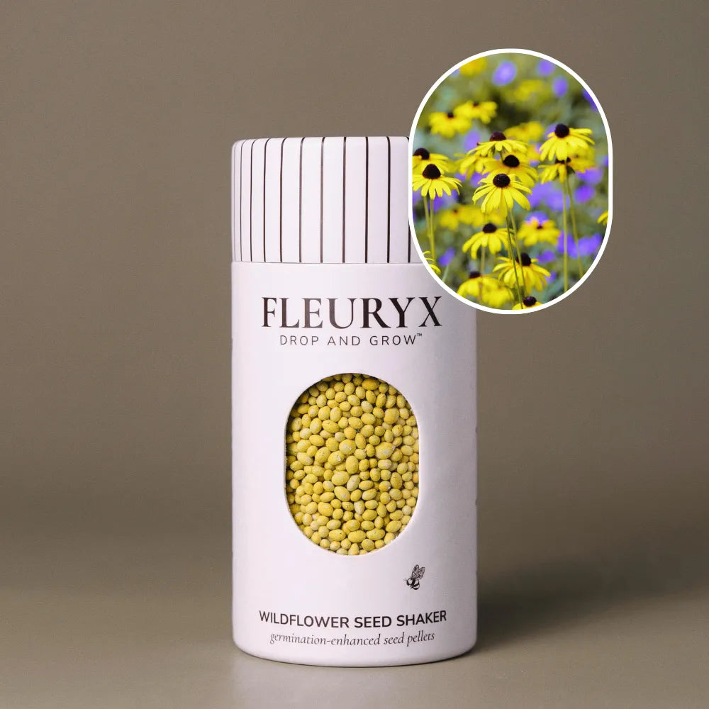 Fleuryx Black-Eyed Susan (Rudbeckia hirta) Native Wildflower Seeds in a white seed shaker with a striped lid, showing yellow seed pellets from its colorful coated wildflower seeds and a photo of Black-Eyed Susan flowers.