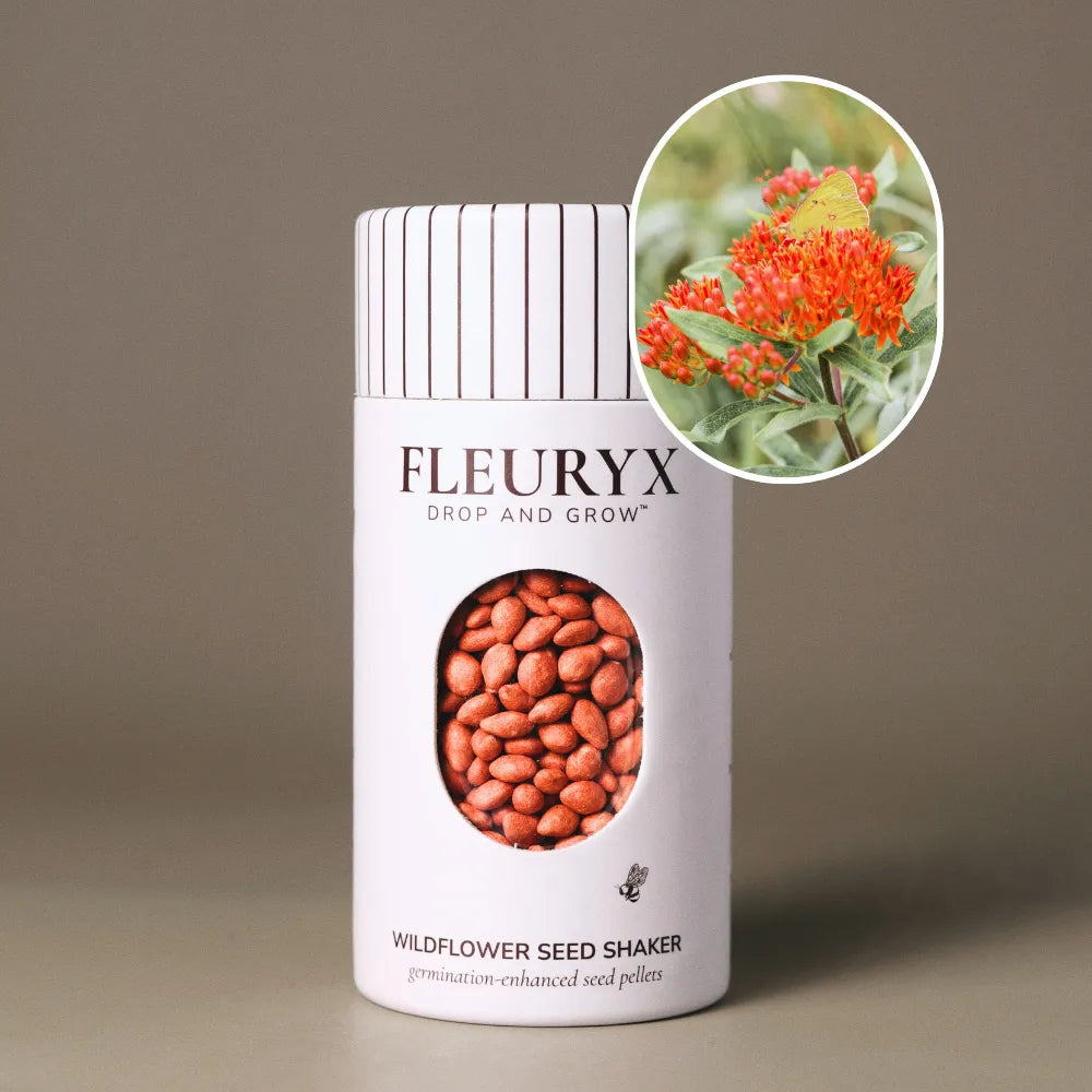Fleuryx Butterfly Milkweed (Asclepias tuberosa) Native Wildflower Seeds in a white seed shaker with a striped lid, showing orange seed pellets from its colorful coated wildflower seeds and a photo of Butterfly Milkweed flowers.