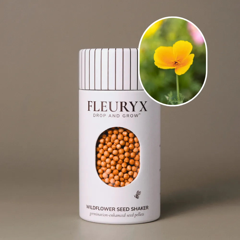 Fleuryx California Poppy (Eschscholzia californica) Native Wildflower Seeds in a white seed shaker with a striped lid, showing orange seed pellets from its colorful coated wildflower seeds and a photo of California Poppy flowers.