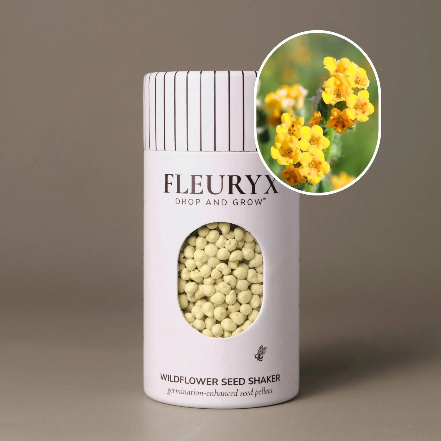 Fleuryx Common Fiddleneck (Amsinckia menziesii) Native Wildflower Seeds in a white seed shaker with a striped lid, showing yellow colorful coated wildflower seeds and a photo of Common Fiddleneck flowers.