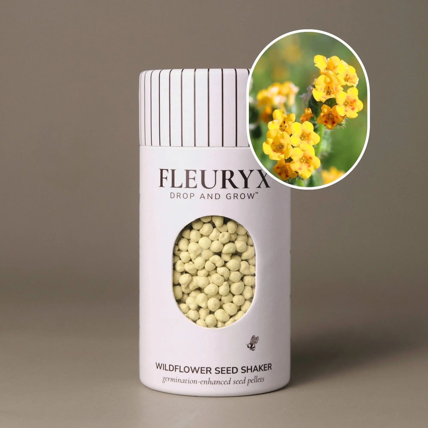 Fleuryx Common Fiddleneck (Amsinckia menziesii) Native Wildflower Seeds in a white seed shaker with a striped lid, showing yellow colorful coated wildflower seeds and a photo of Common Fiddleneck flowers.
