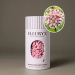 Fleuryx Common Milkweed (Asclepias syriaca) Native Wildflower Seeds in a white seed shaker with a striped lid, showing pink colorful coated wildflower seeds and a photo of Common Milkweed flowers.
