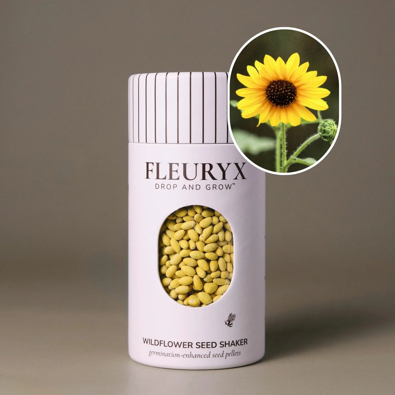 Fleuryx Common Sunflower (Helianthus annuus) Native Wildflower Seeds in a white seed shaker with a striped lid, showing yellow colorful coated wildflower seeds and a photo of Common Sunflower flowers.