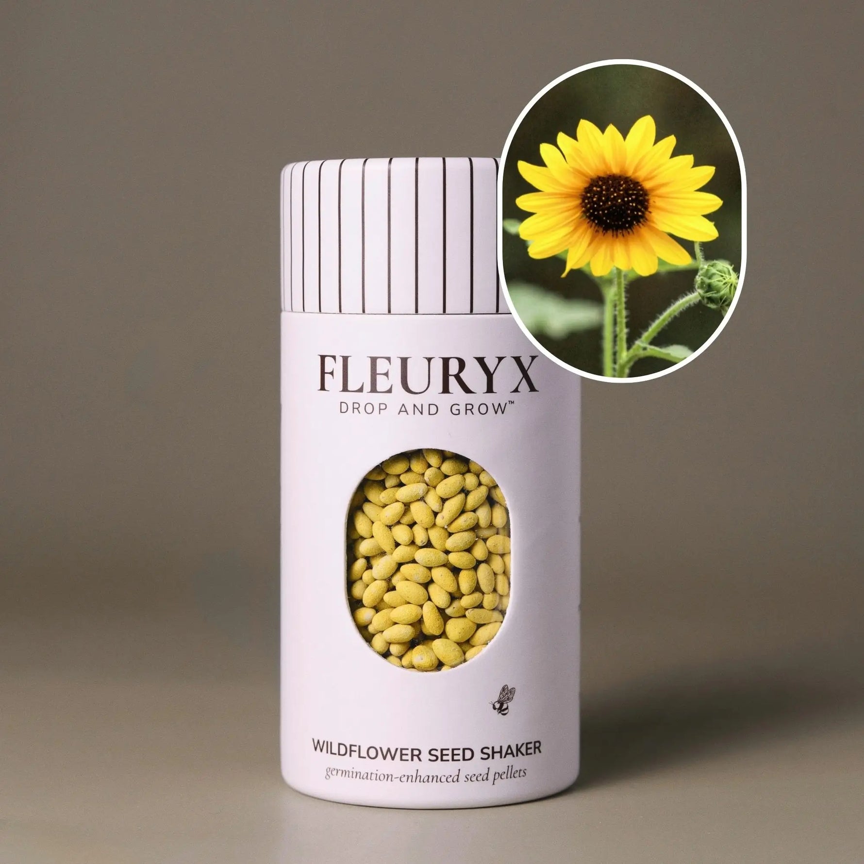 Fleuryx Common Sunflower (Helianthus annuus) Native Wildflower Seeds in a white seed shaker with a striped lid, showing yellow colorful coated wildflower seeds and a photo of Common Sunflower flowers.