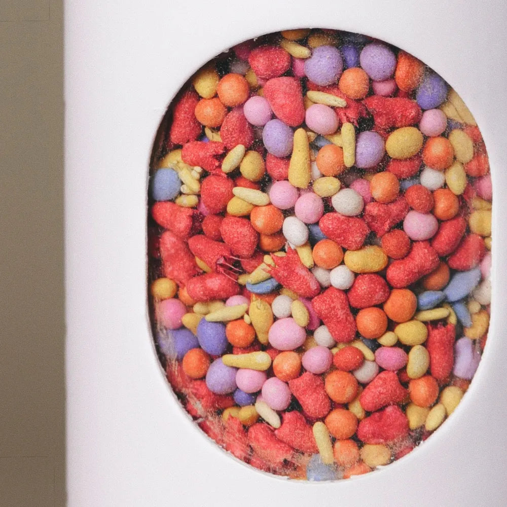 Close-up of colorful coated wildflower seed pellets inside the window of Fleuryx Desert Bloom Native Wildflower Mix shaker tube, with each pellet color-matched to the flower species it contains.
