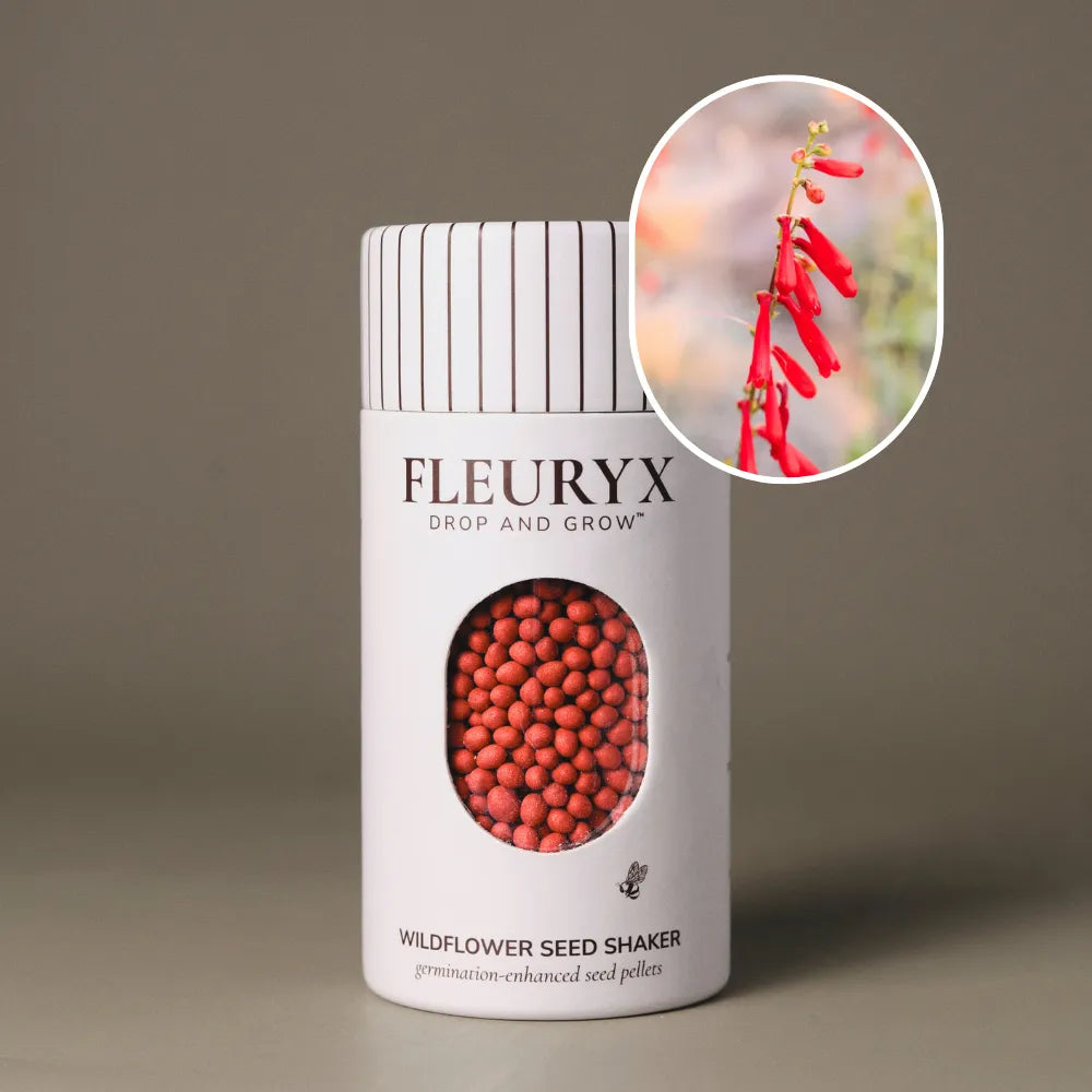 Fleuryx Firecracker Penstemon (Penstemon eatonii) Native Wildflower Seeds in a white seed shaker with a striped lid, showing red colorful coated wildflower seeds and a photo of Firecracker Penstemon flowers.