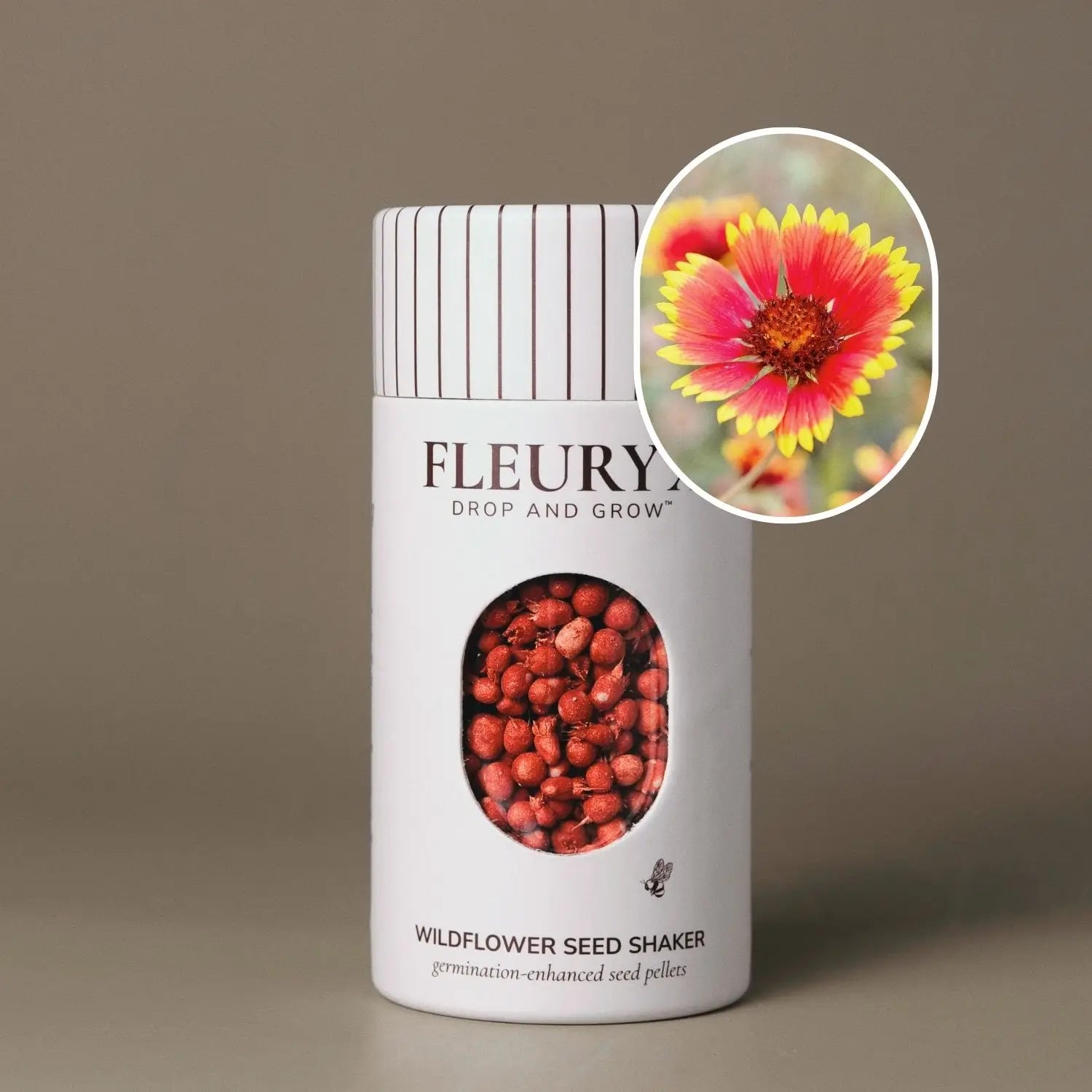 Fleuryx Indian Blanket (Gaillardia pulchella) Native Wildflower Seeds in a white seed shaker with a striped lid, showing red and yellow colorful coated wildflower seeds and a photo of Indian Blanket flowers.