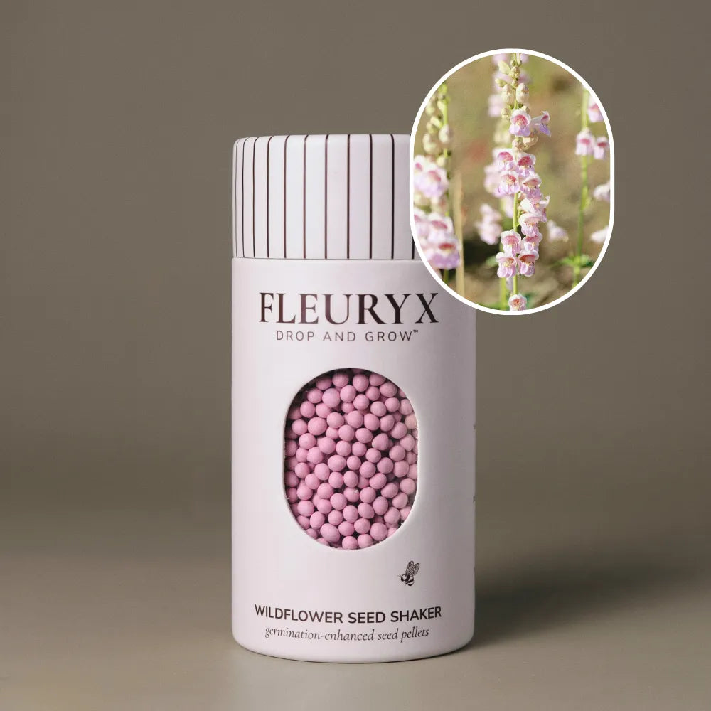 Fleuryx Palmer’s Penstemon (Penstemon palmeri) Native Wildflower Seeds in a white seed shaker with a striped lid, showing pink seed pellets from its colorful coated wildflower seeds and a photo of Palmer’s Penstemon flowers.