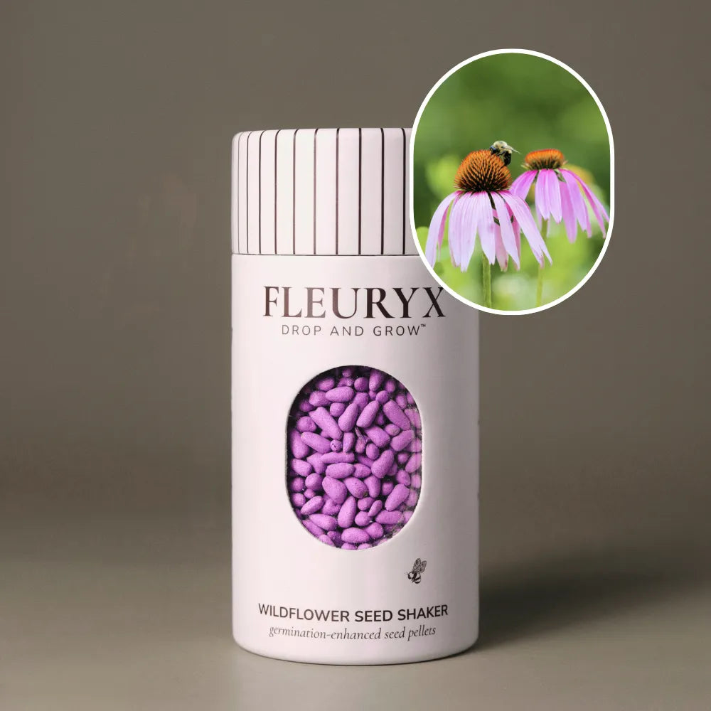 Fleuryx Purple Coneflower (Echinacea purpurea) Native Wildflower Seeds in a white seed shaker with a striped lid, showing purple seed pellets from its colorful coated wildflower seeds and a photo of Purple Coneflower flowers.