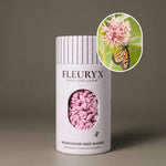 Fleuryx Showy Milkweed (Asclepias speciosa) Native Wildflower Seeds in a white seed shaker with a striped lid, showing pink colorful coated wildflower seeds and a photo of Showy Milkweed flowers.