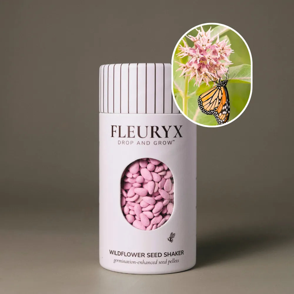 Fleuryx Showy Milkweed (Asclepias speciosa) Native Wildflower Seeds in a white seed shaker with a striped lid, showing pink colorful coated wildflower seeds and a photo of Showy Milkweed flowers.