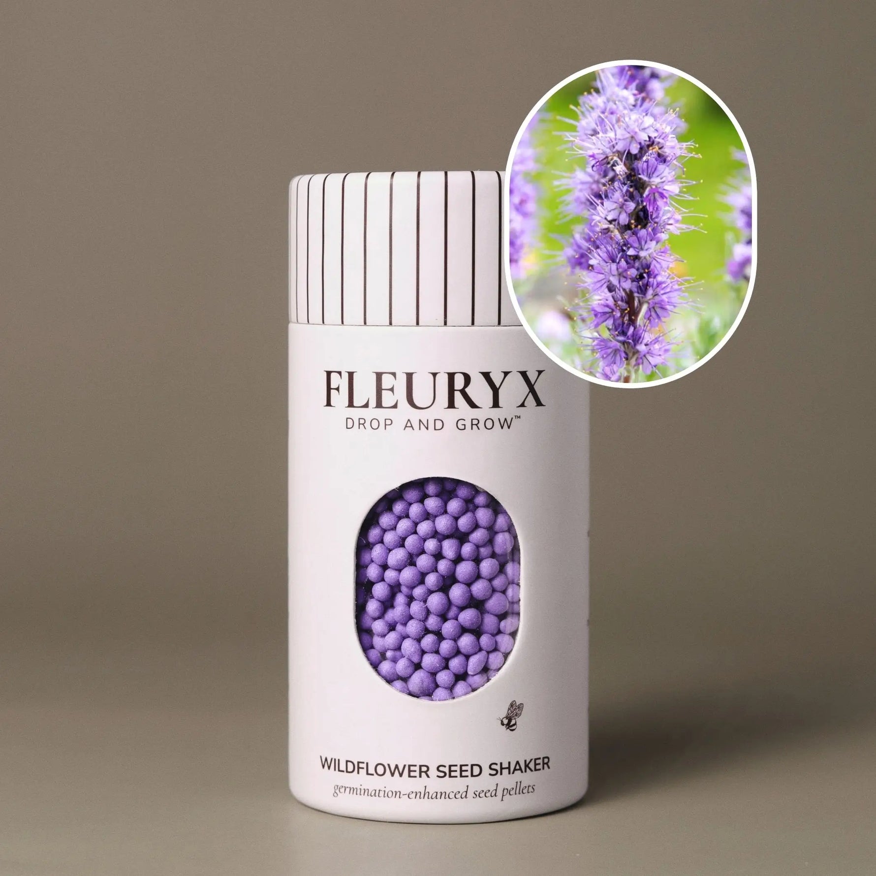 Fleuryx Silky Phacelia (Phacelia sericea) Native Wildflower Seeds in a white seed shaker with a striped lid, showing purple colorful coated wildflower seeds and a photo of Silky Phacelia flowers.