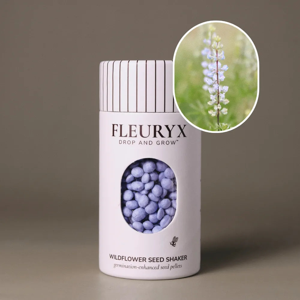 Fleuryx Silvery Lupine (Lupinus argenteus) Native Wildflower Seeds in a white seed shaker with a striped lid, showing purple seed pellets from its colorful coated wildflower seeds and a photo of Silvery Lupine flowers.