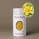 Fleuryx Tidy Tips (Layia platyglossa) Native Wildflower Seeds in a white seed shaker with a striped lid, showing yellow and white colorful coated wildflower seeds and a photo of Tidy Tips flowers.