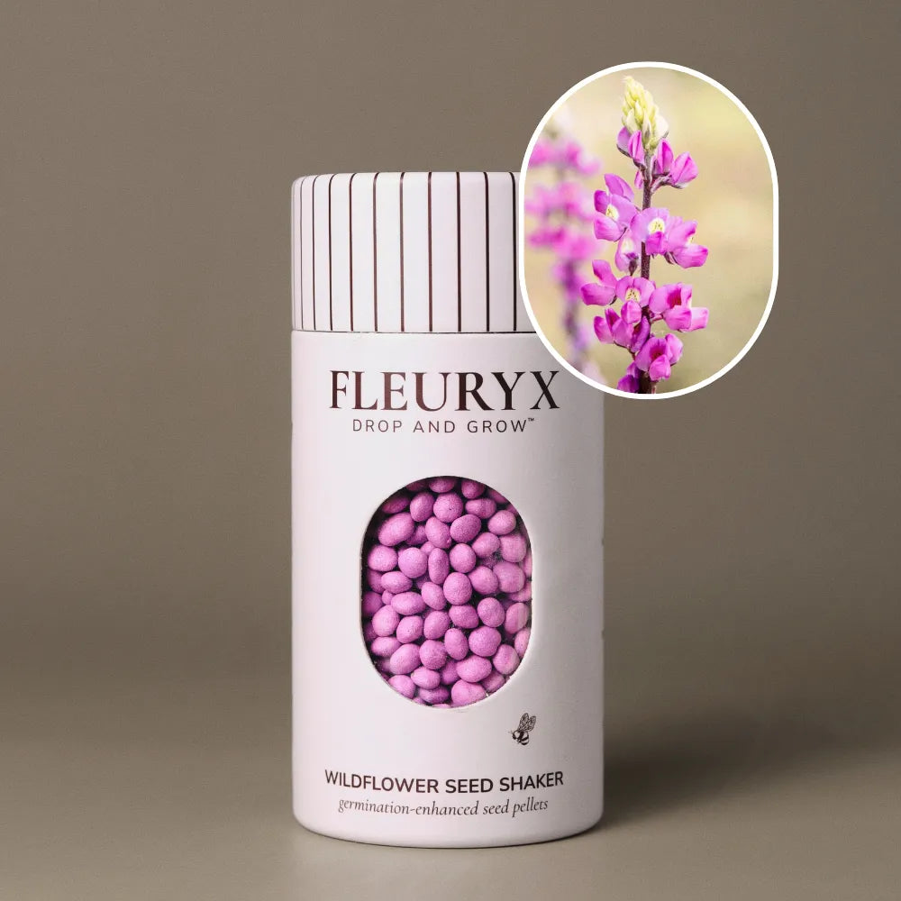 Fleuryx Utah Sweetvetch (Hedysarum boreale) Native Wildflower Seeds in a white seed shaker with a striped lid, showing pink colorful coated wildflower seeds and a photo of Utah Sweetvetch flowers.