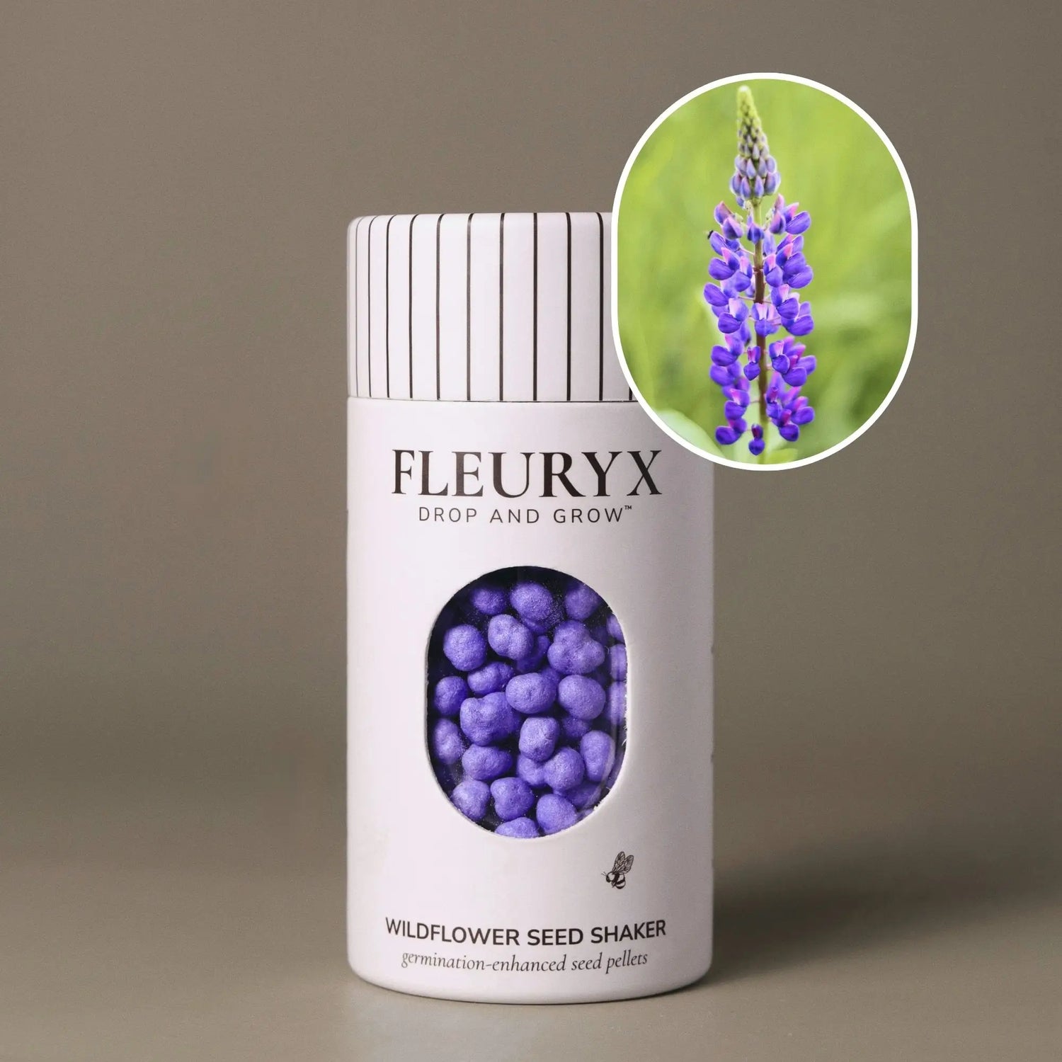 Fleuryx Wild Lupine (Lupinus perennis) Native Wildflower Seeds in a white seed shaker with a striped lid, showing blue colorful coated wildflower seeds and a photo of Wild Lupine flowers.