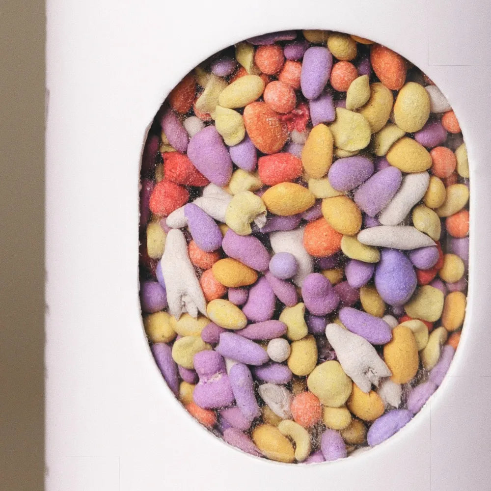 Close-up of colorful coated wildflower seed pellets inside the window of Fleuryx Woodland Bloom Native Wildflower Mix shaker tube, with each pellet color-matched to the flower species it contains.