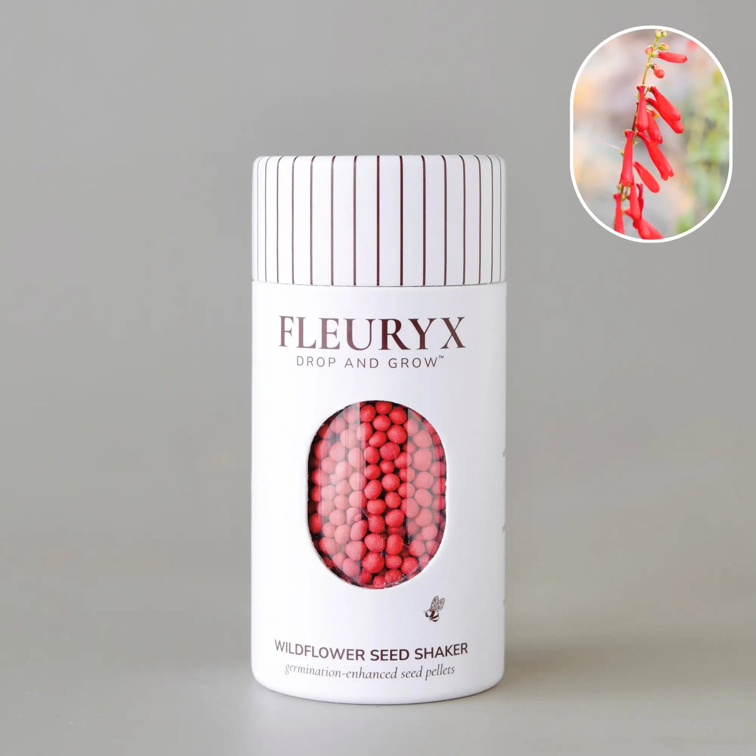 FIRECRACKER PENSTEMON (penstemon eatonii)