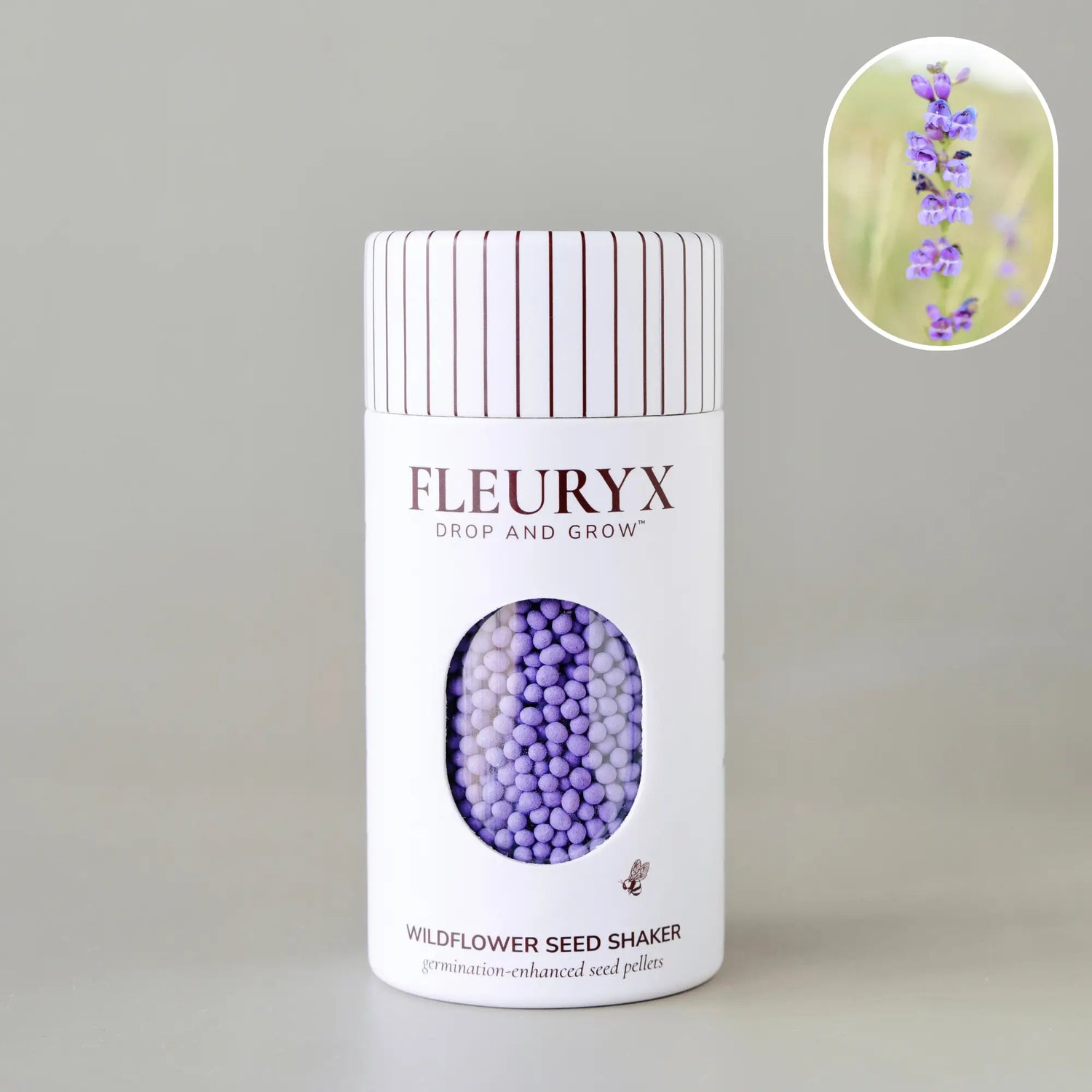 ROCKY MOUNTAIN PENSTEMON (penstemon strictus)