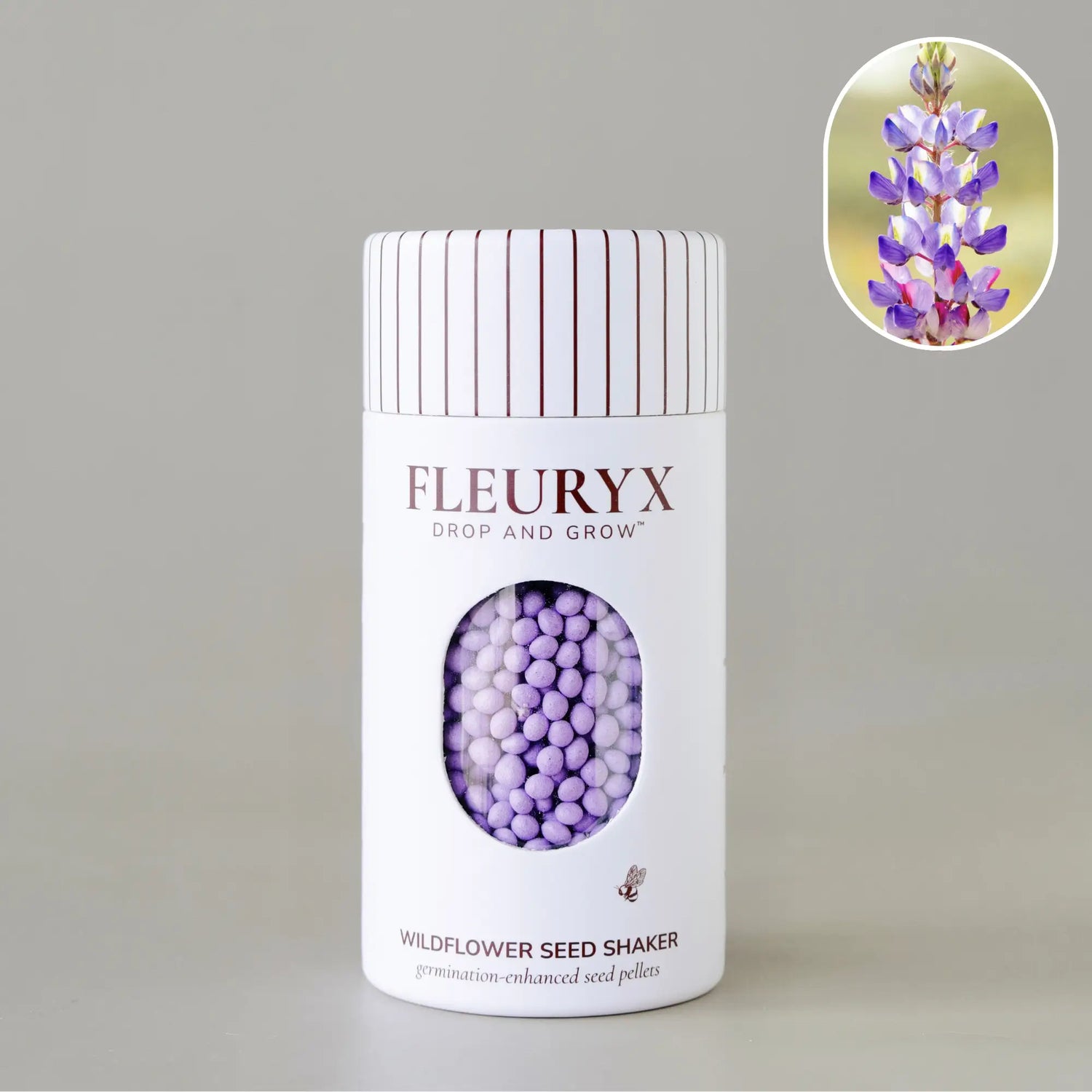 ARIZONA LUPINE (lupinus arizonicus)