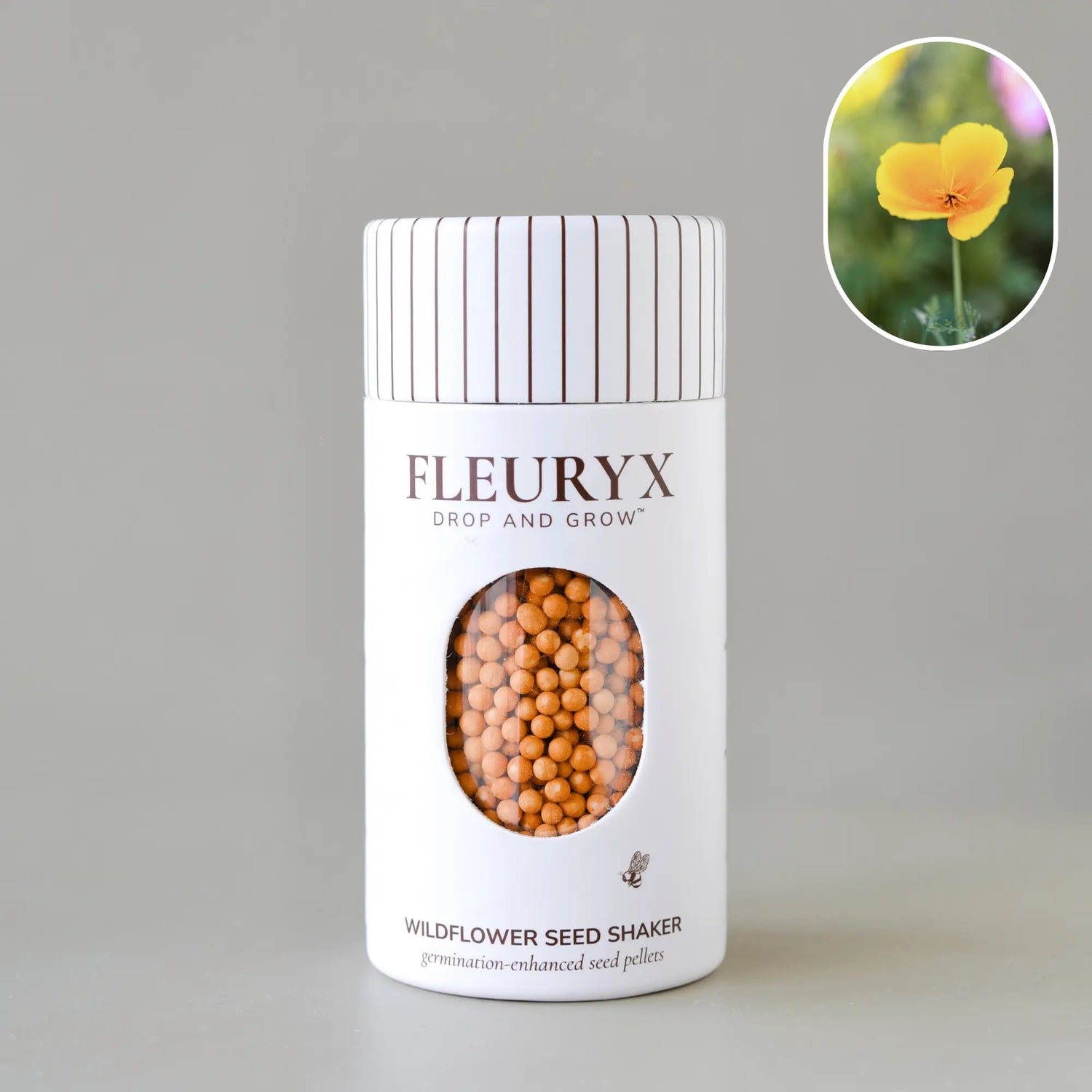 CALIFORNIA POPPY (eschscholzia californica)