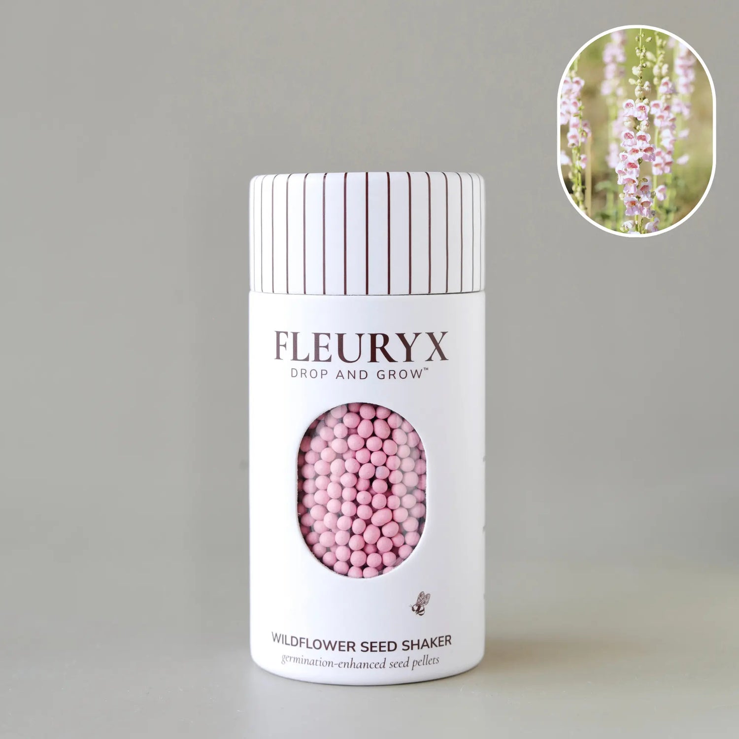 PALMER PENSTEMON (penstemon palmeri)