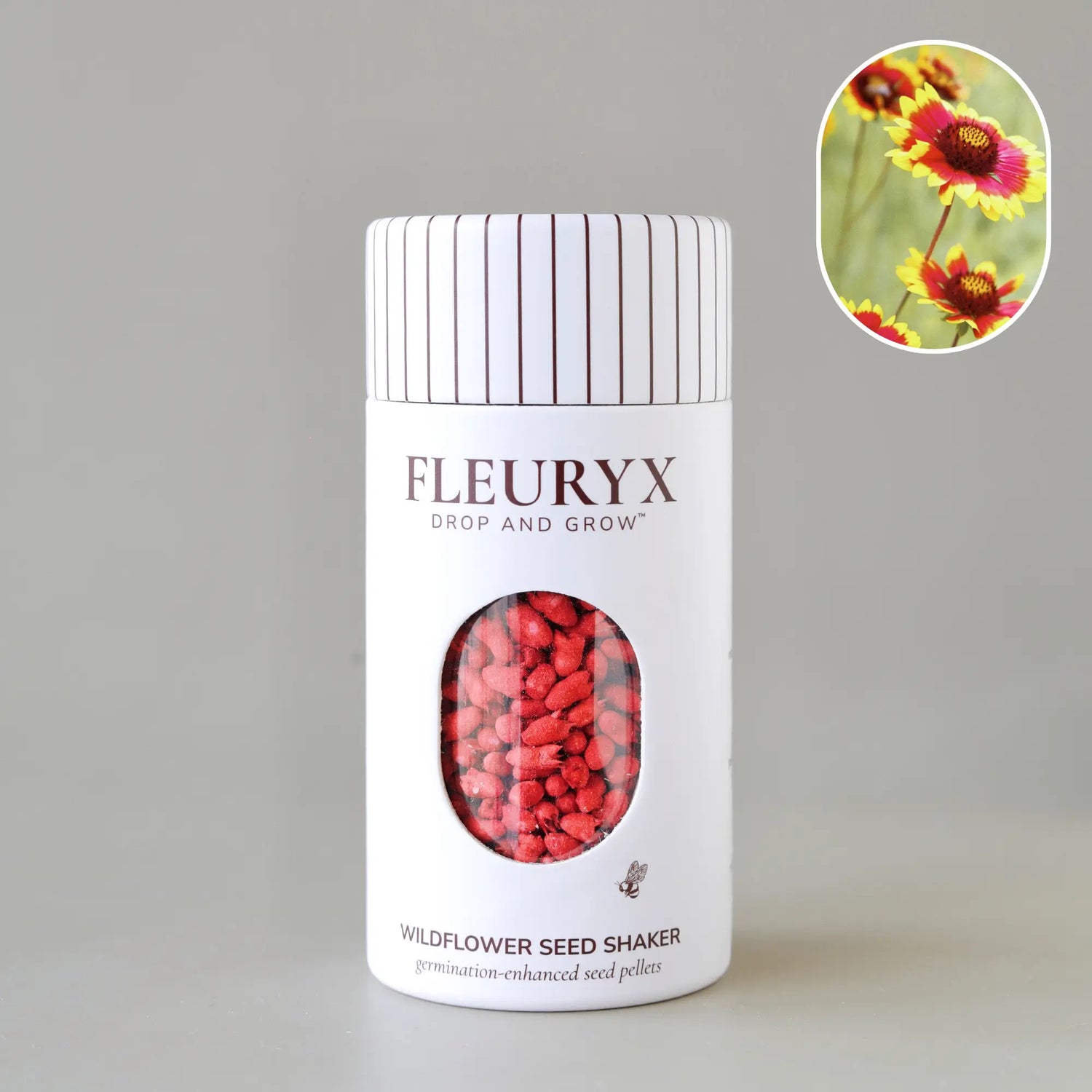 BLANKETFLOWER (gaillardia aristata)