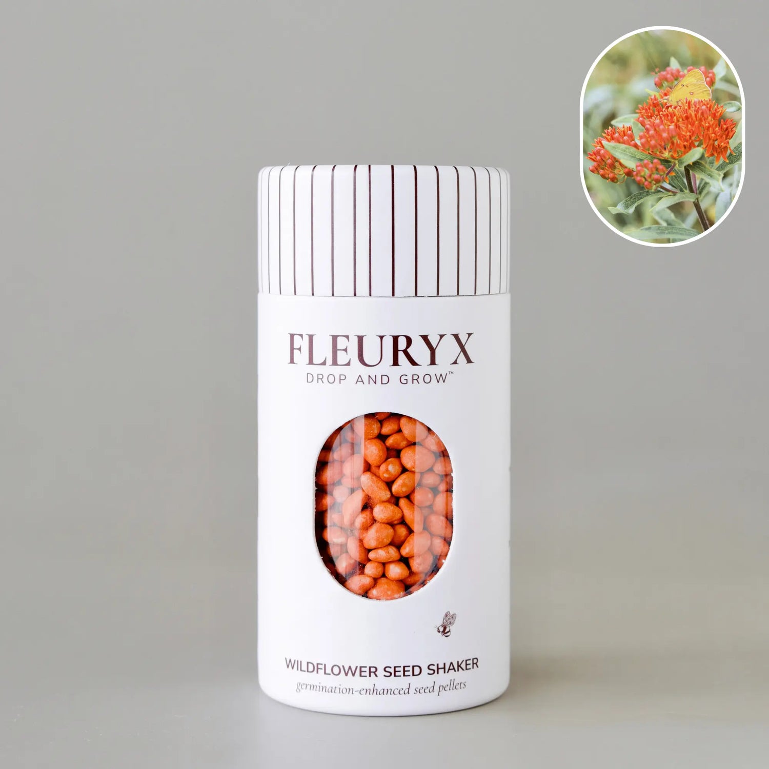 BUTTERFLY MILKWEED (asclepias tuberosa)