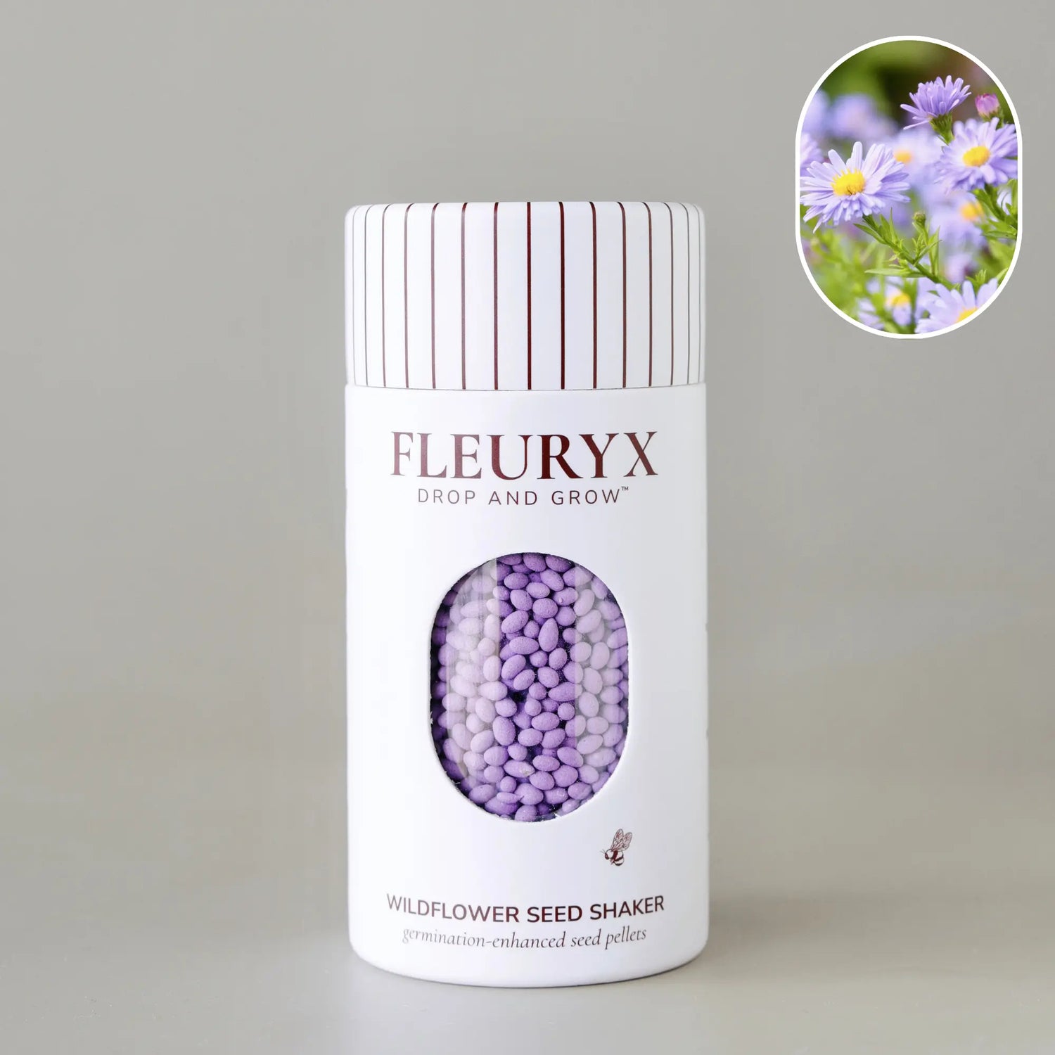 SMOOTH ASTER (symphyotrichum laeve)