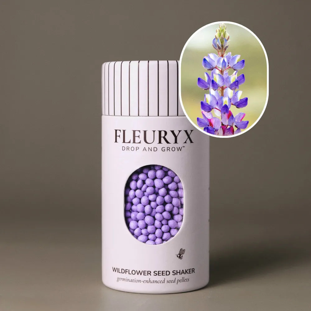 Arizona Lupine wildflower seeds – coated seed pellets for sale from Fleuryx